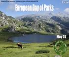 Ευρωπαϊκή Ημέρα Πάρκων